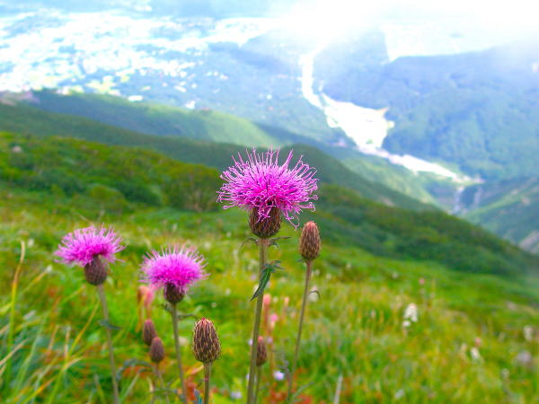 �����r�^�����\�E��