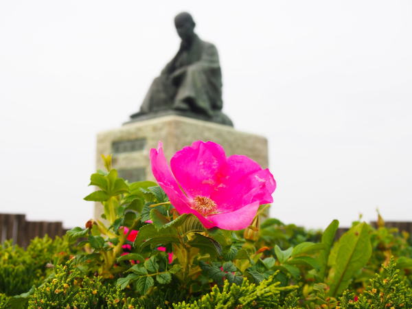 ���كn�}�i�X