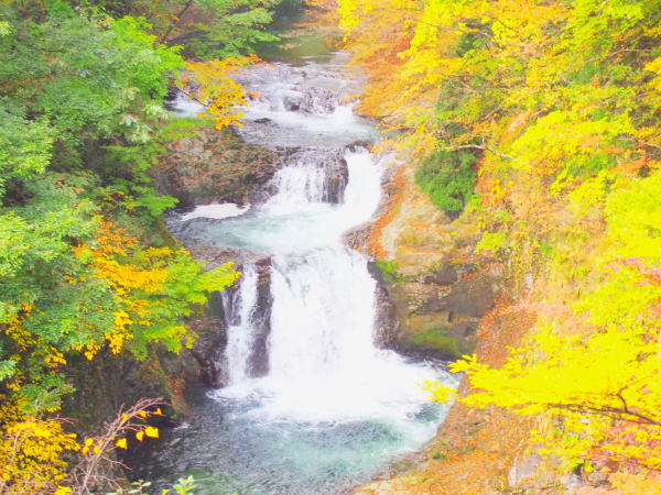 �P�l�\����