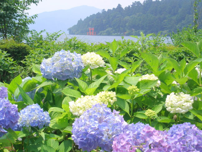 Hakone Ashinoko Lake