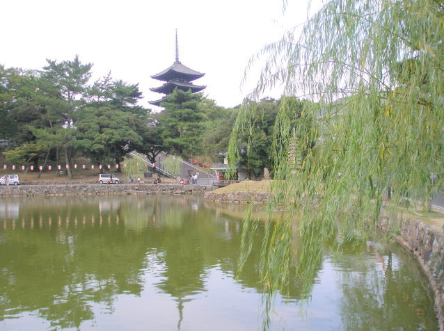 Nara Sarusawa Pond