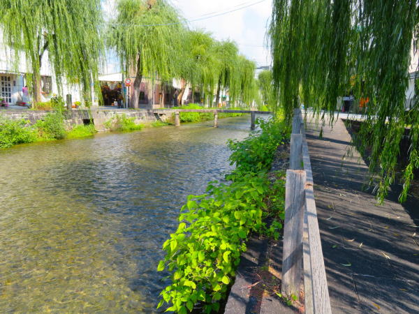 京都一本橋木道