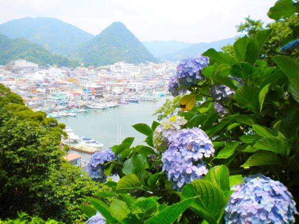 伊豆の海下田港