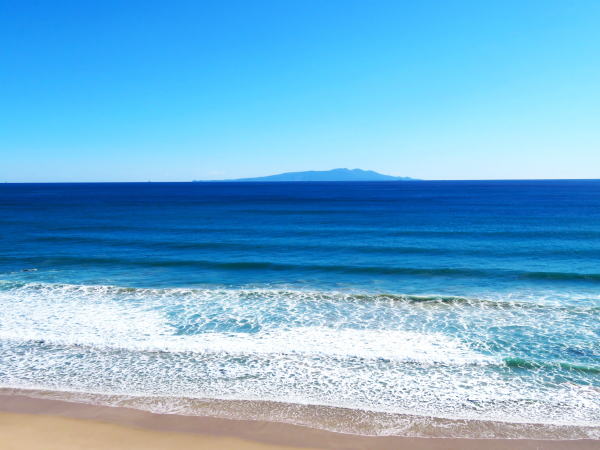伊豆の海白浜海岸