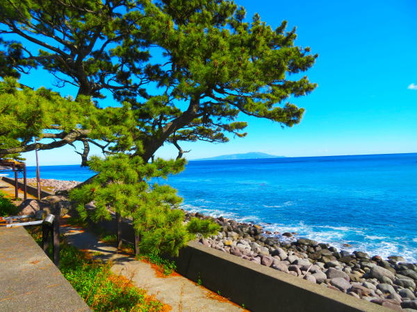 伊豆の海素戔嗚神社