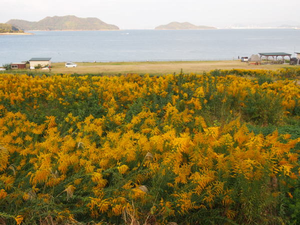 フラワーパーク浦島と香川の海