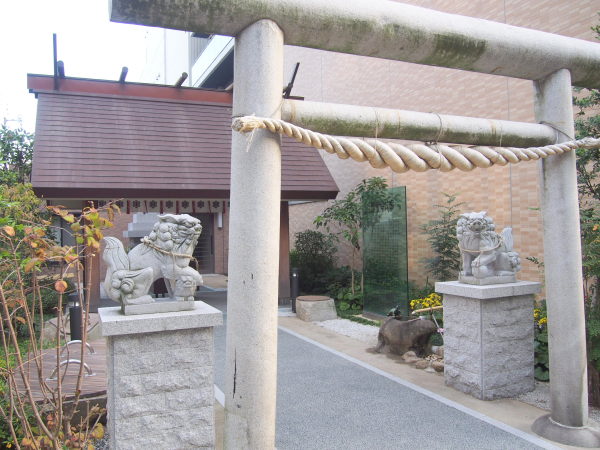 亀井戸水神社画像