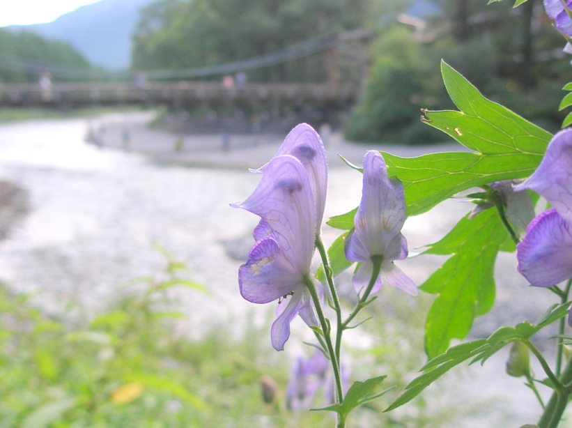 Nagano Azusa River