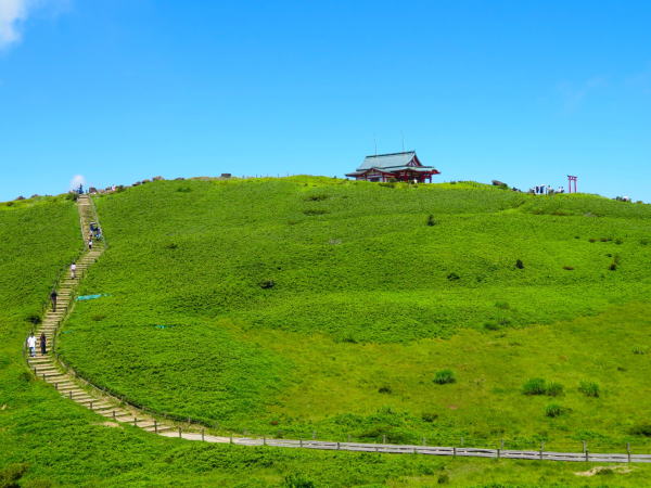 ������P�x�{�{�ʐ^