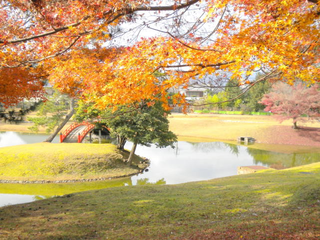 奈良大乗寺庭園紅葉画像