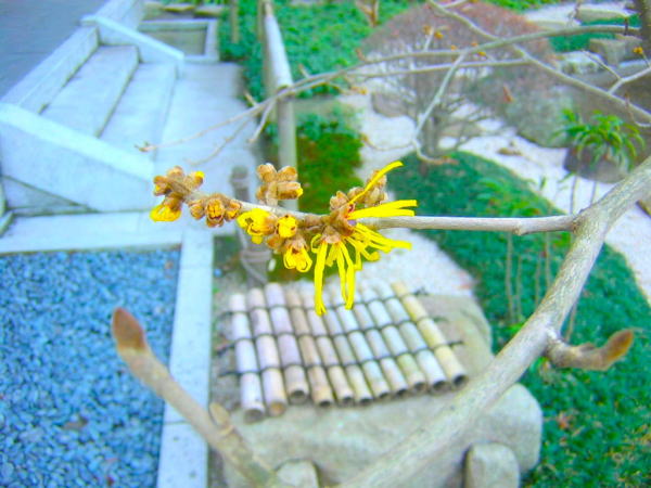 �}���T�N��