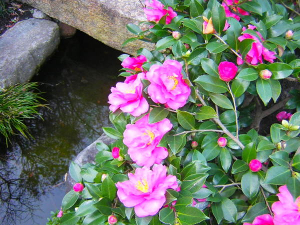 �T�U���J��