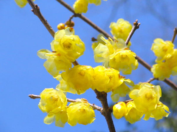 ���E�o�C��