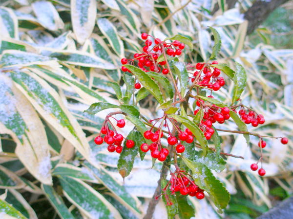 �}�������E��