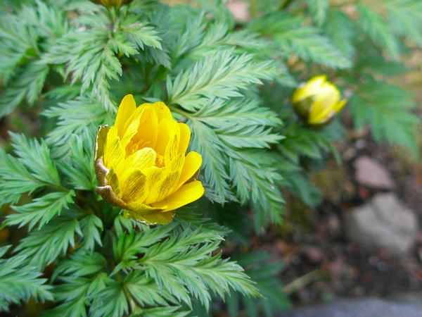 �t�N�W���\�E��