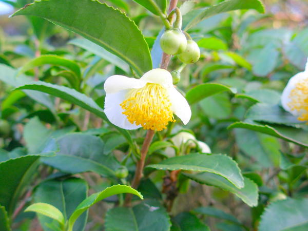 �`���m�L��