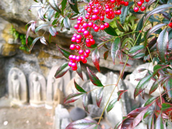 �i���e����