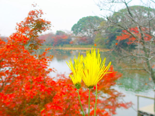 ���s�T�K�M�N��