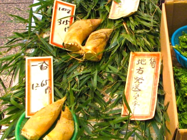 ���^�P�m�R�юs��