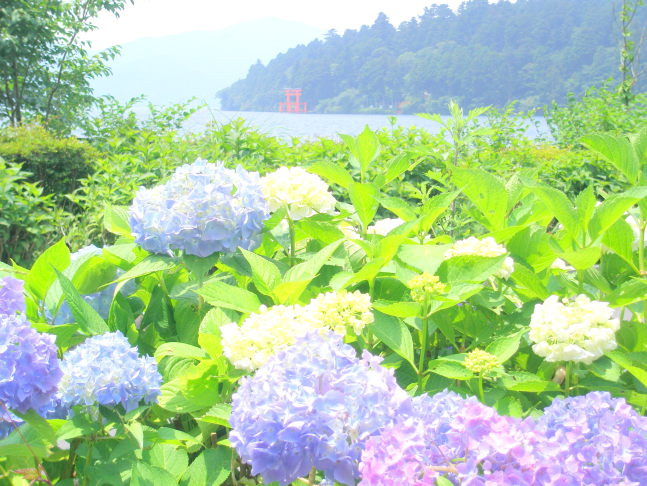 芦ノ湖写真