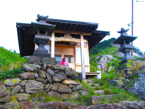 ���������t��