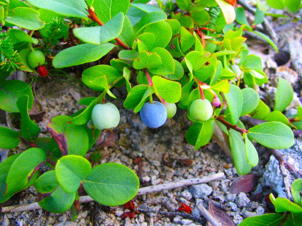 ��������N���}���m�L��