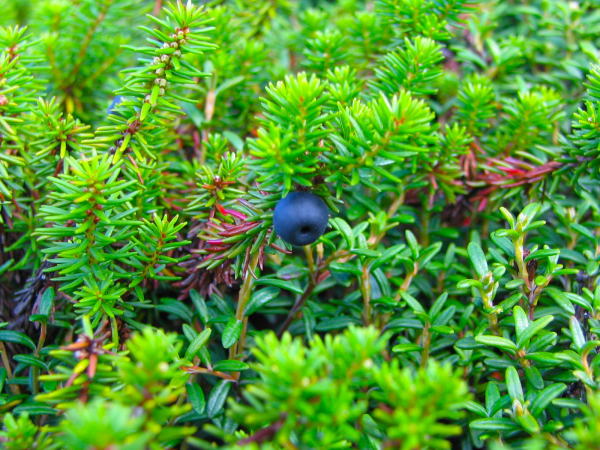 ��������K���R�E������