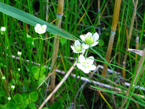 ��������E���o�`�\�E