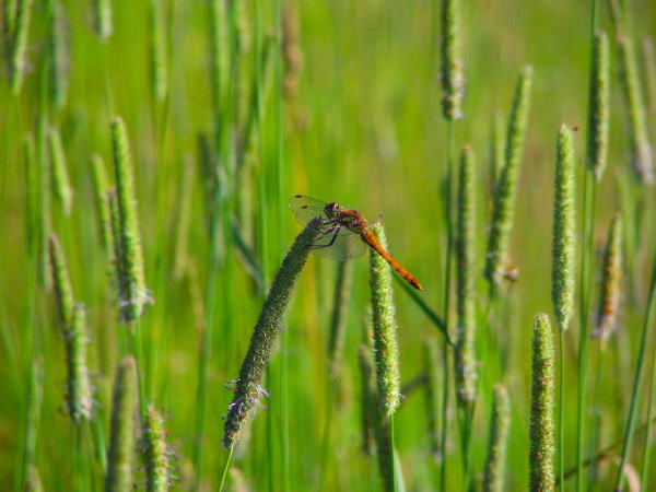 ��������A�L�A�J�l