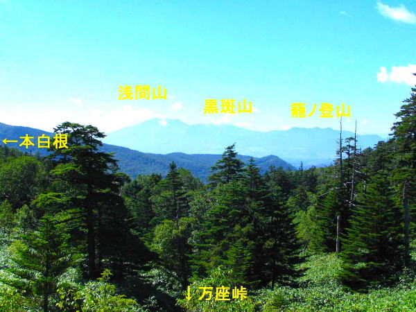 ��������i�F