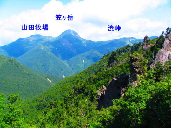 �������摜