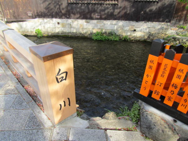 京都祇園白川