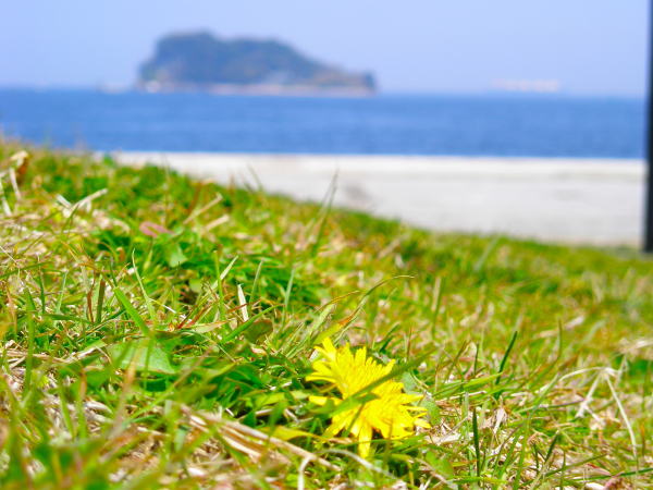 三浦半島うみかぜ公園