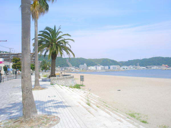 三浦半島ペリー公園