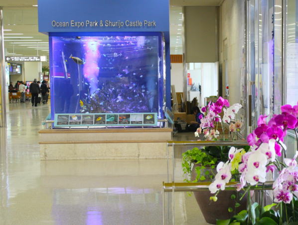 那覇空港コチョウラン花と熱帯魚