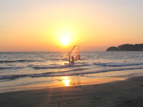 ���q����������