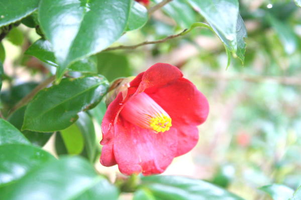 ���q����������