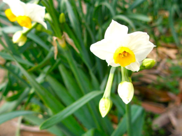 ���q����������