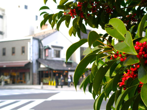 ���q����������