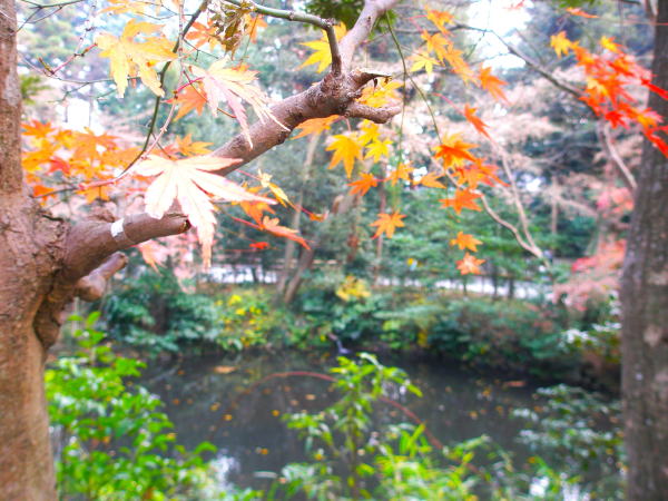 ���q����������