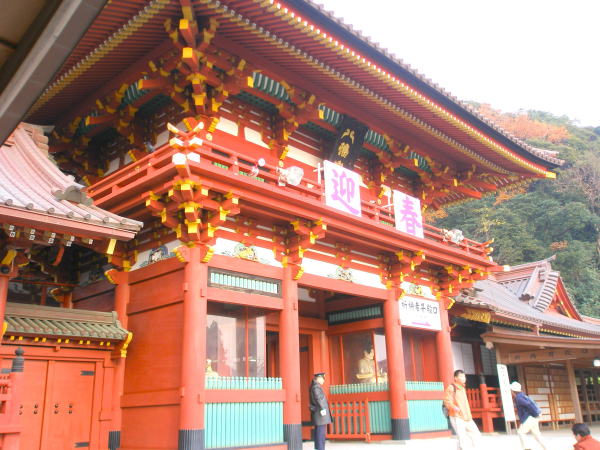 ���q����������