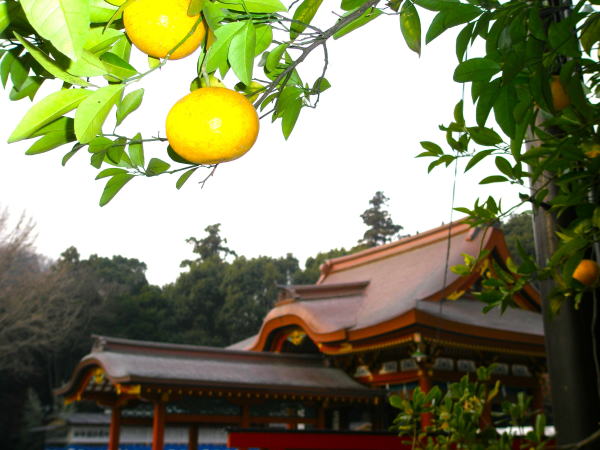 ���q����������