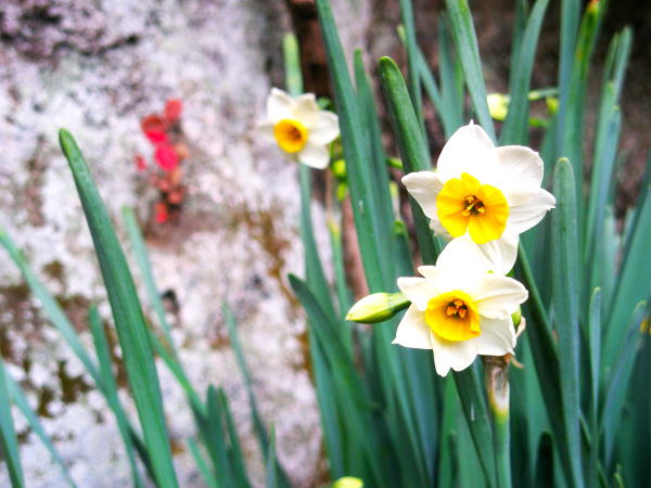 ���q����������