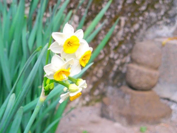 ���q����������