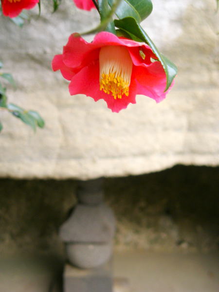 ���q����������