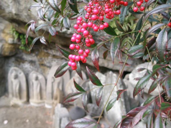 ���q����������