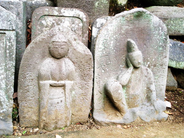 ���q����������