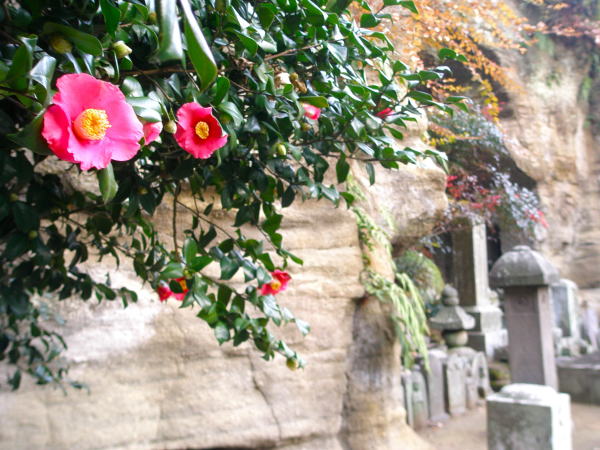 ���q����������