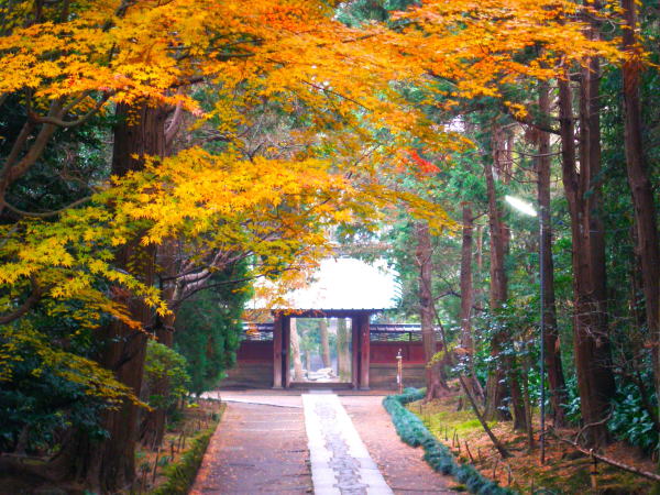 ���q����������