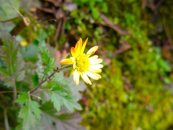 ���q����������